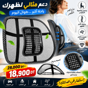 Support Lombaire Ergonomique pour Chaise et Voiture