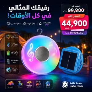 Lampe LED Solaire Musicale Bluetooth RGB