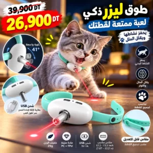 Collier laser pour chat rechargeable USB